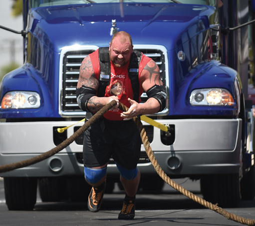 Draft horse pulling harness Hafthor Bjornsson Draft horse pulling harness Hafthor Bjornsson