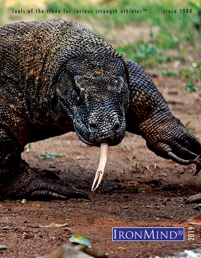 Welcome the 2019 IronMind catalog, featuring Tools of the Trade for Serious Strength Athletes™ for over 30 years: Last year, we had Eddie “The Beast” Hall on our cover and this year, it’s an anonymous but fearsome Komodo dragon lizard . . . more than ready to eat a CoC No. 4 for breakfast.  “Three meters long, weighing 90 kg, a Komodo dragon lizard can eat an entire cow in one sitting and a whole goat in one bite . . . they have been called the perfect predator—a formidable example of what exists in the animal kingdom, and they inspired the move King Kong. IronMind | ©Randall J. Strossen photo