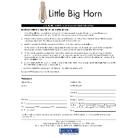 LittleBigHorn-011619
